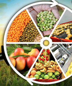 Production Linked Incentive Scheme for Food Processing Industry (PLISFPI)