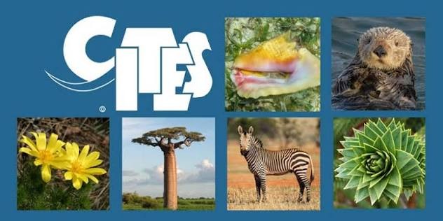 CITES (Convention on International Trade in Endangered Species of Wild Fauna and Flora)